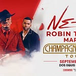 Ne-Yo, Robin Thicke and Mario Champagne and Roses Tour